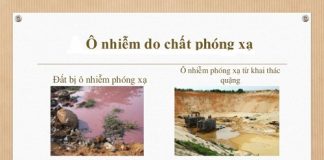 Một số biện pháp khắc phục khi môi trường bị nhiễm